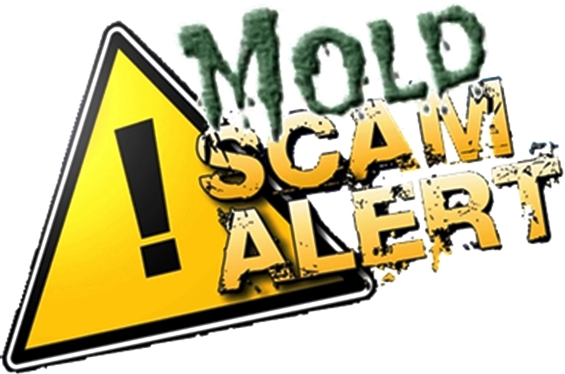 Mold Scam Alert
